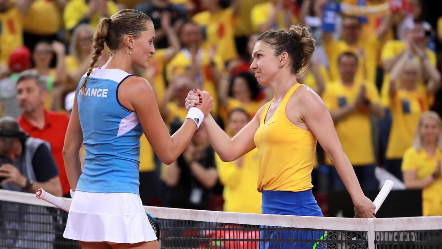 MladenovicHalep