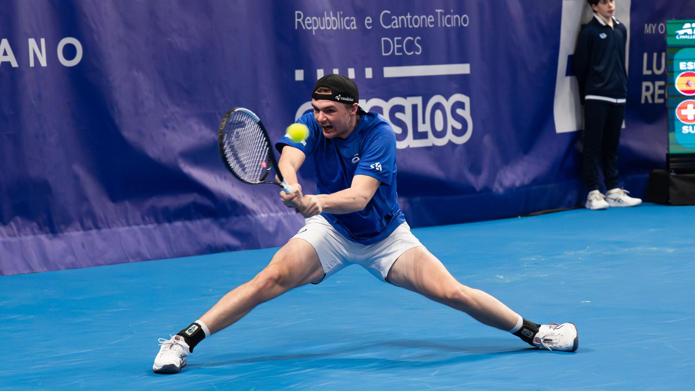 Il bernese in azione