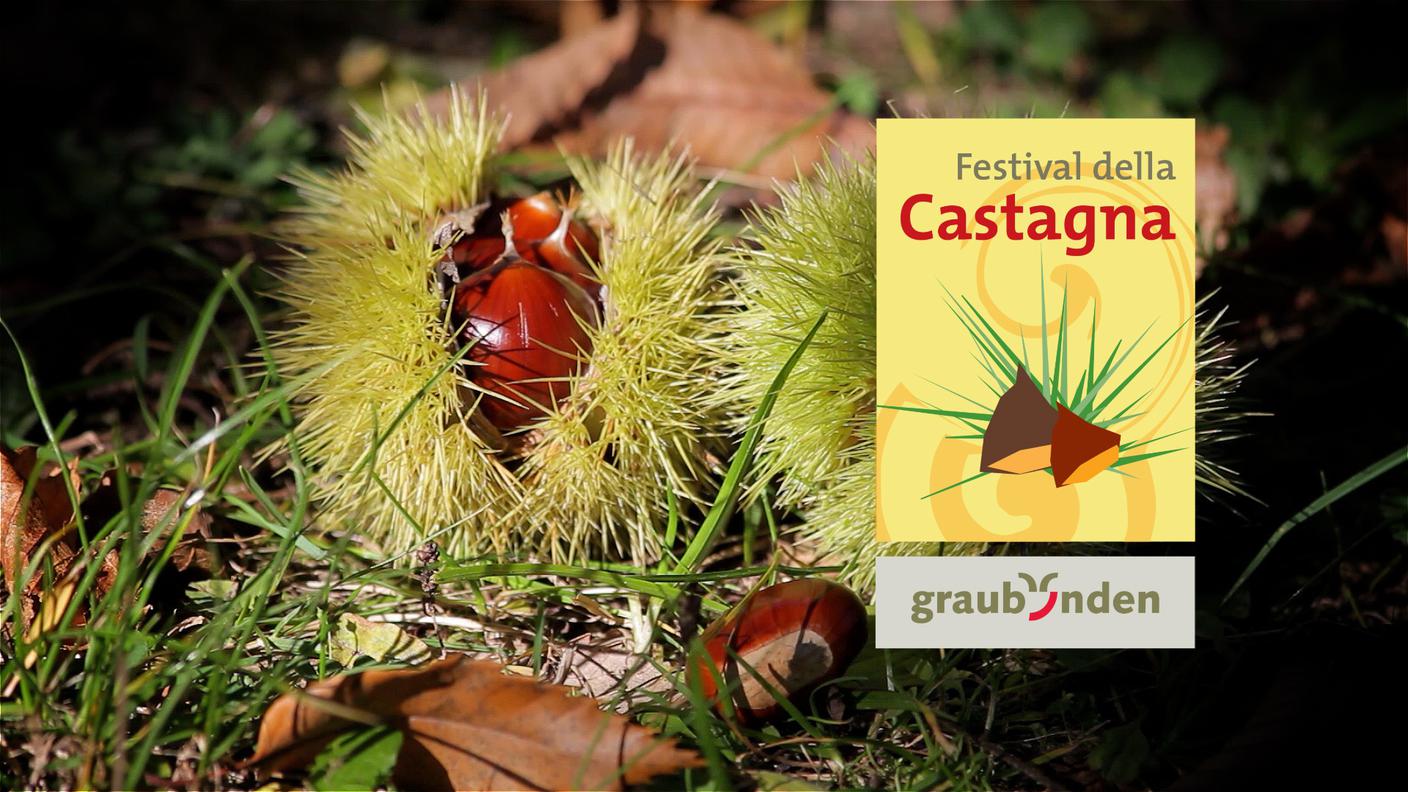 Festival della Castagna Val Bregaglia