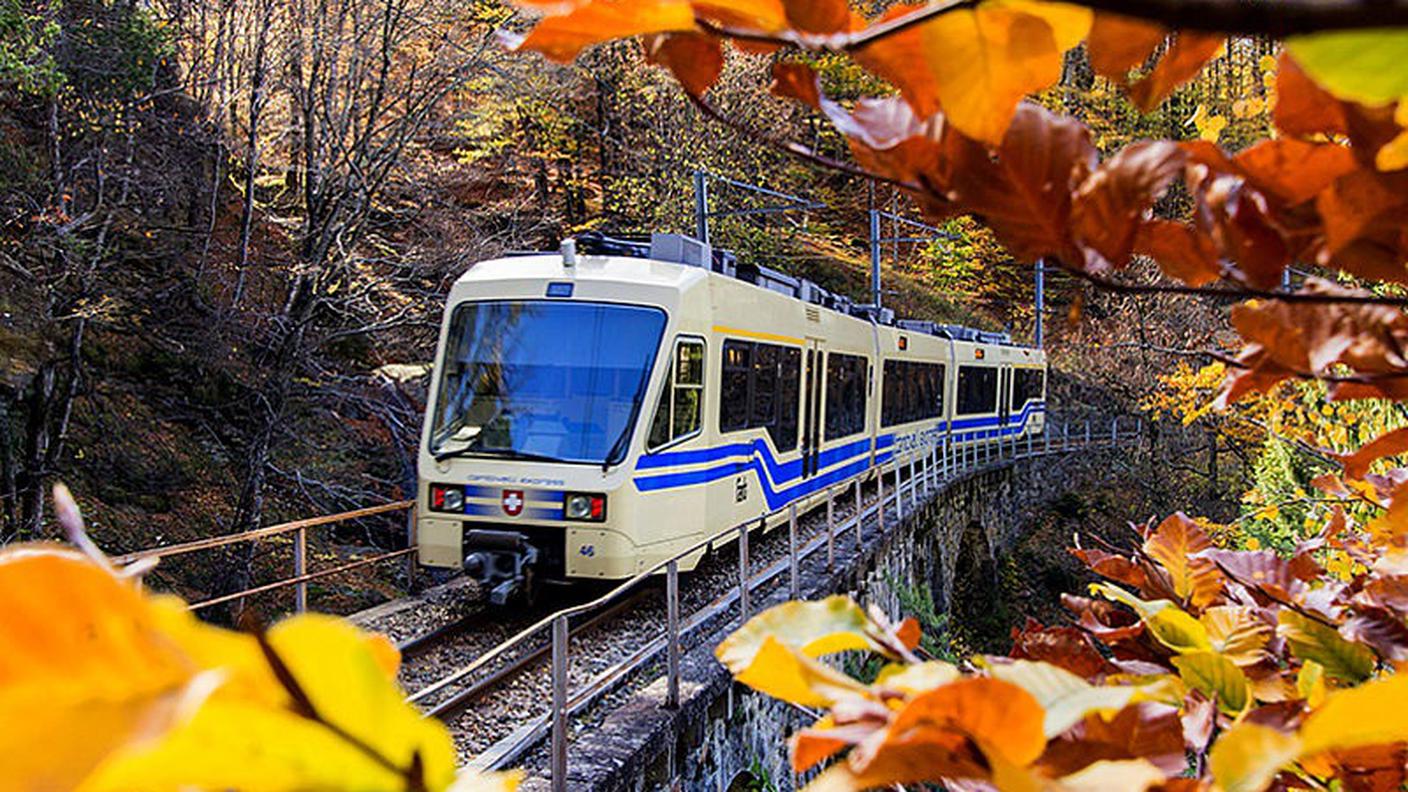 csm_Il_Treno_del_Foliage_e0e64bce5f.jpg