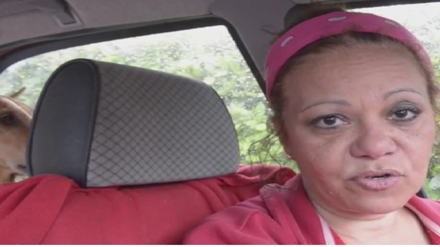 Hillary Barrows ha vissuto quattro mesi in auto con i suoi due cani