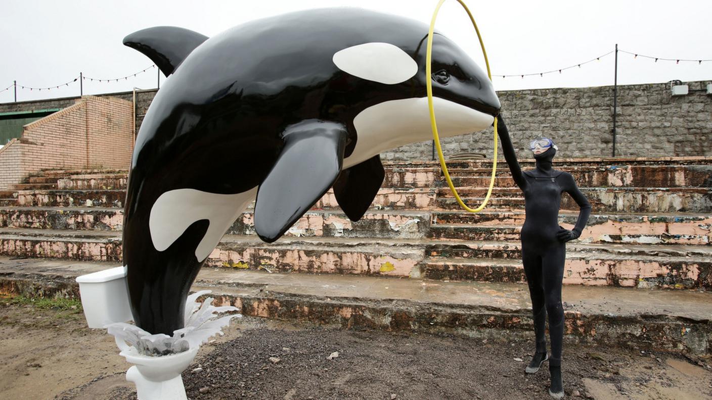 A Dismaland un'orca può saltare fuori dalla tazza di un water