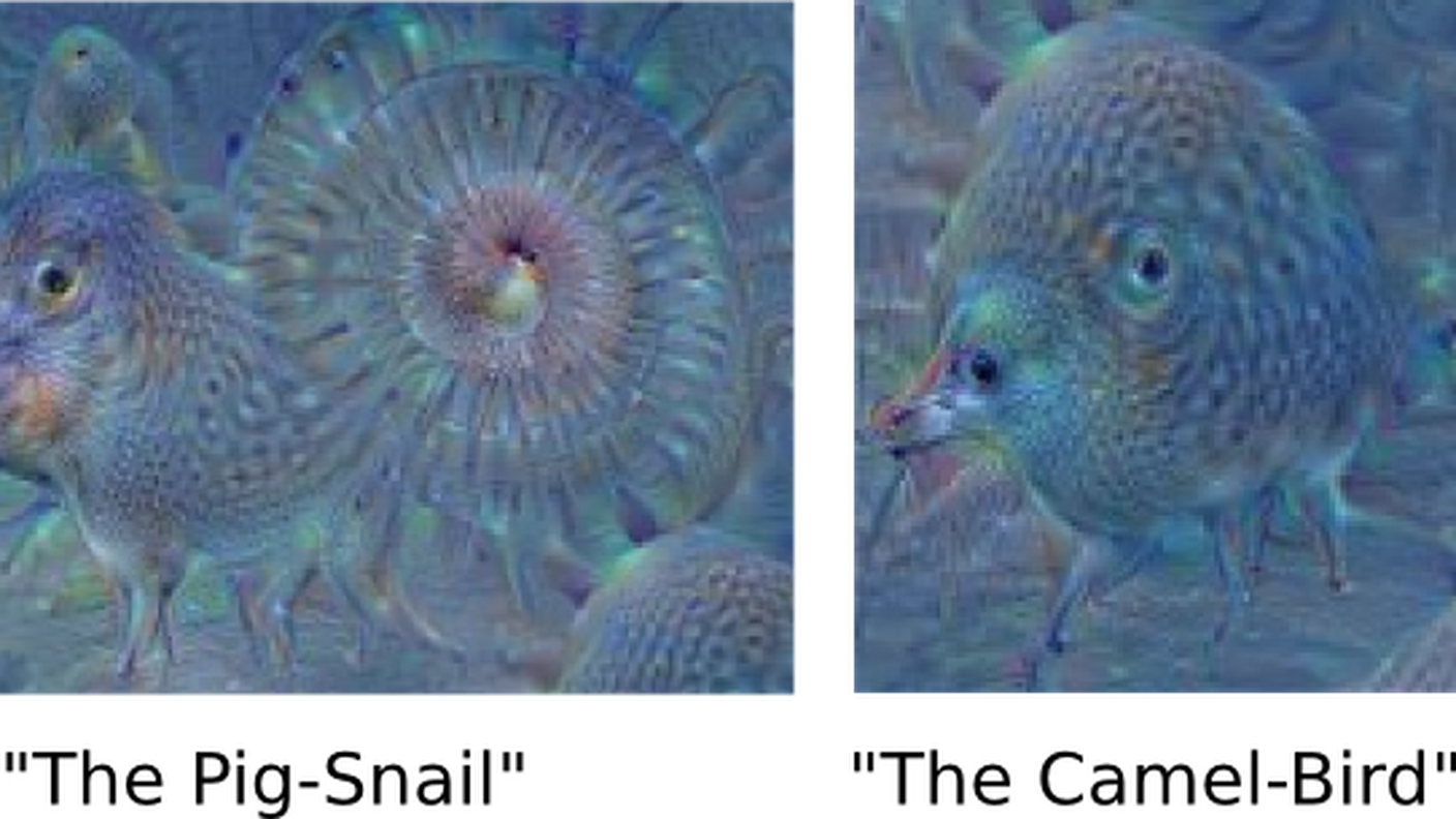 Funny-Animals.png