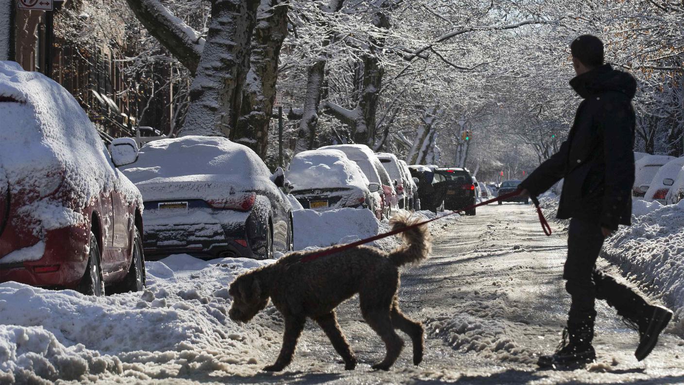 Due passi con il padrone dopo una nevicata possono fare male alle zampe del cane