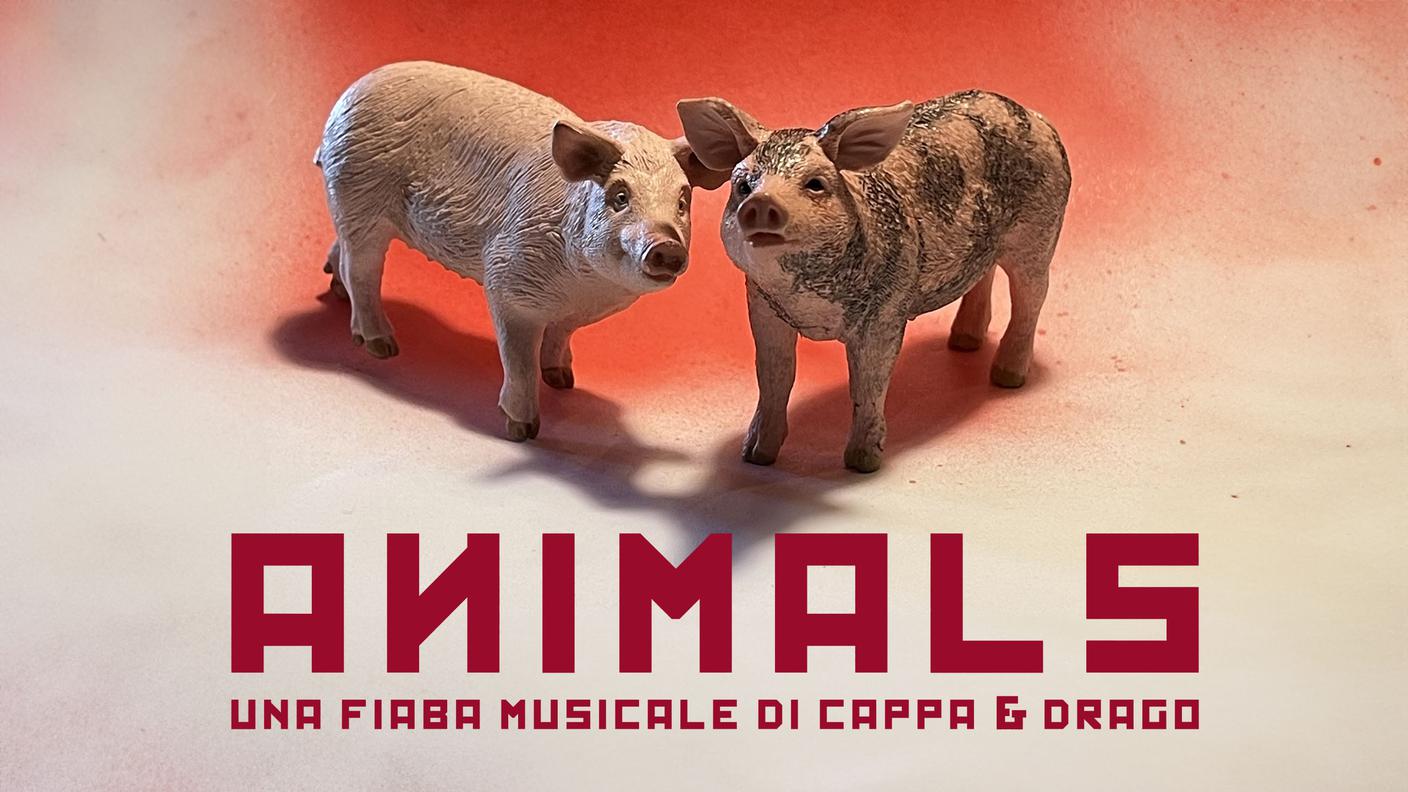 16x9-_animals