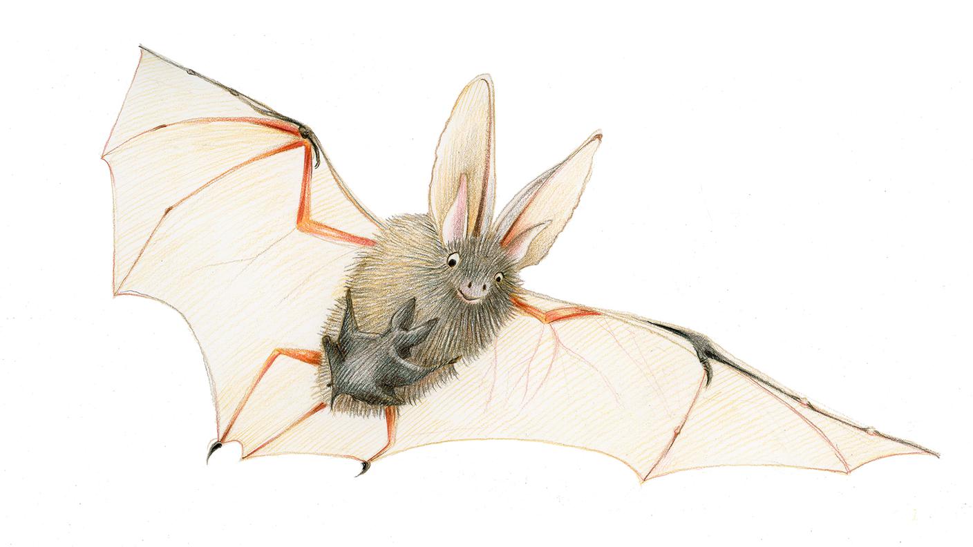 Fiabe al museo "Batmom"