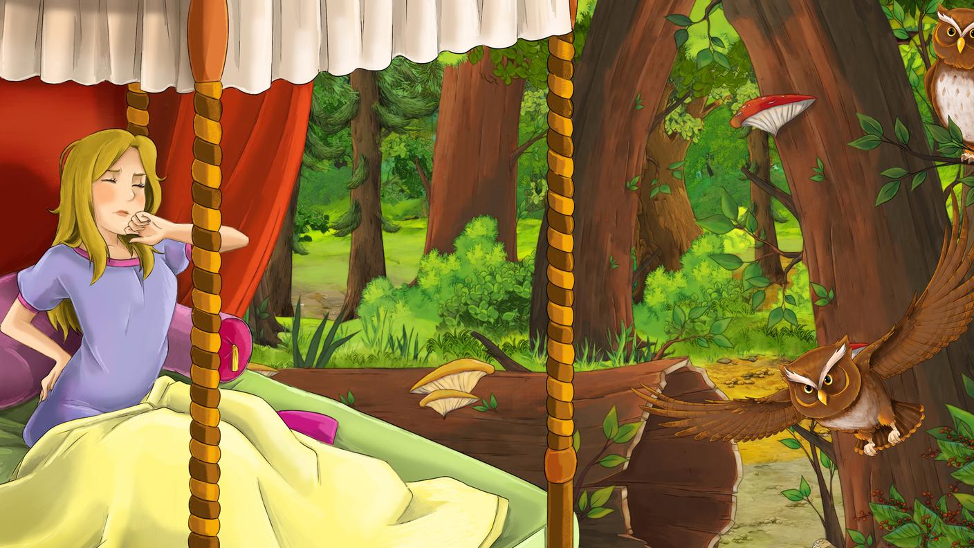 Fiaba_addormentata_nel_bosco.jpg