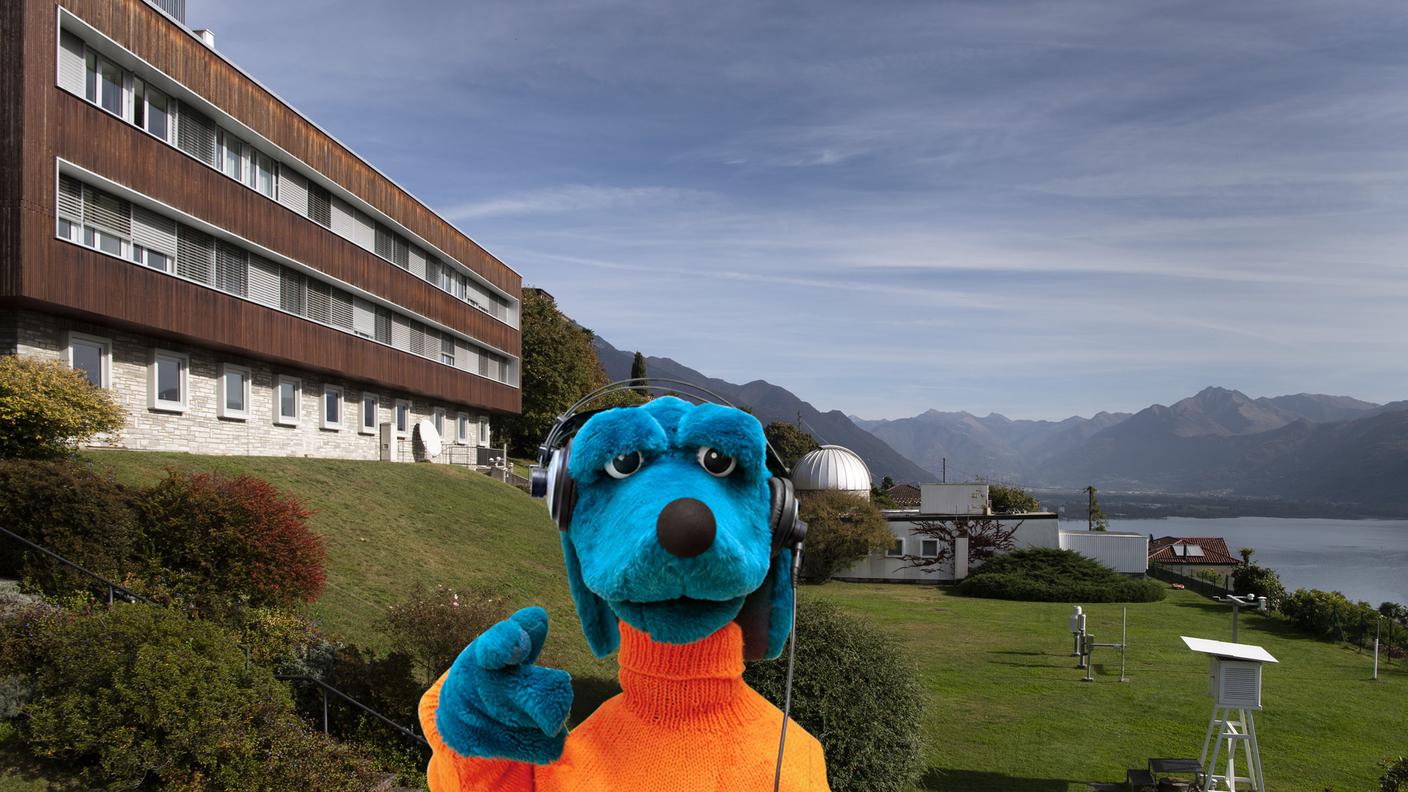 Peo a Locarno Monti