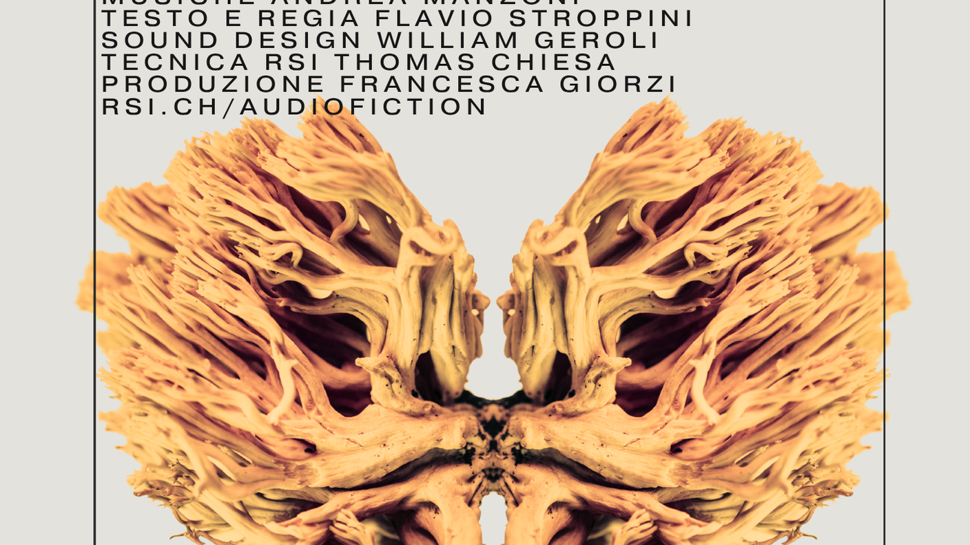 05.12.05_OPOS_Radio LSD_INVITO. RADIO LSD 2