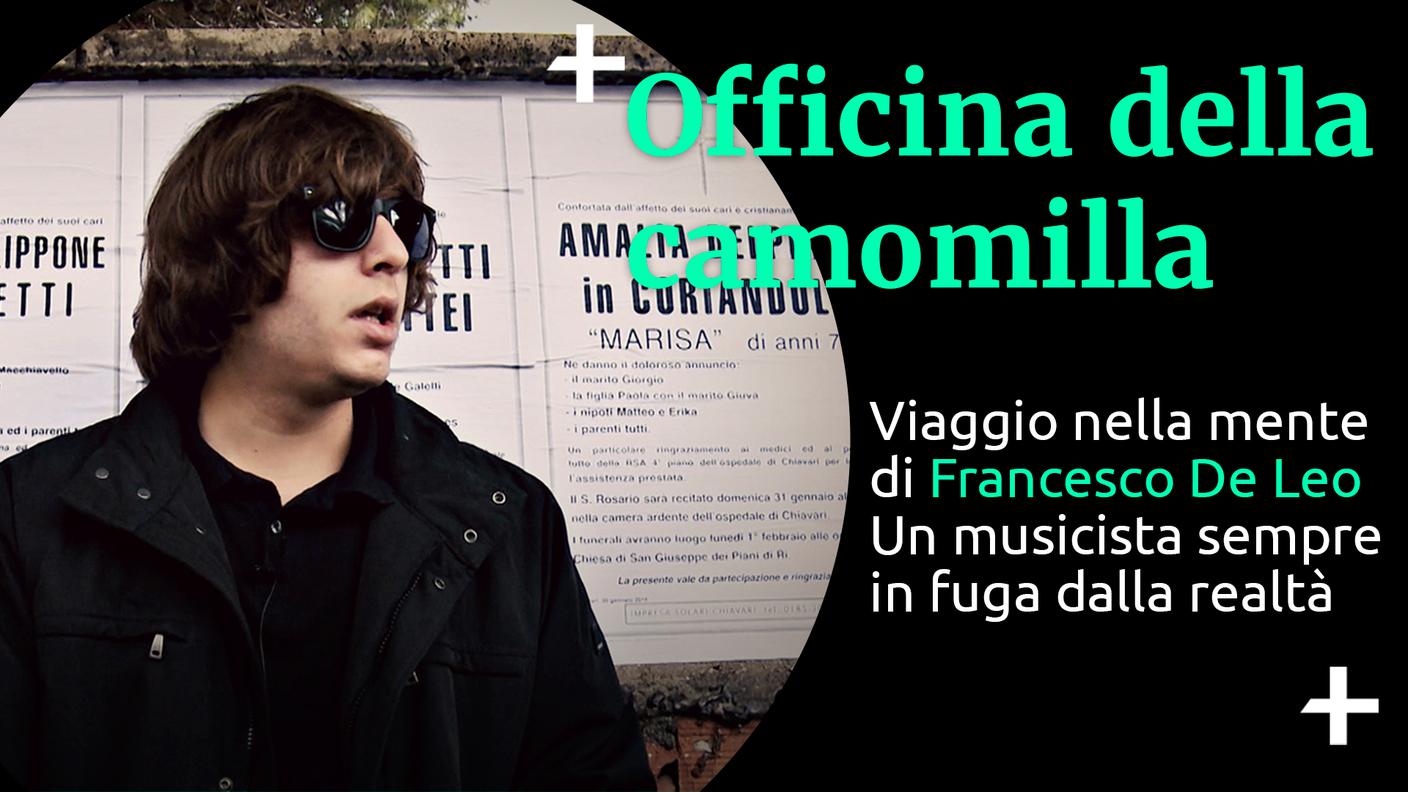 Officina della camomilla - L'incontro