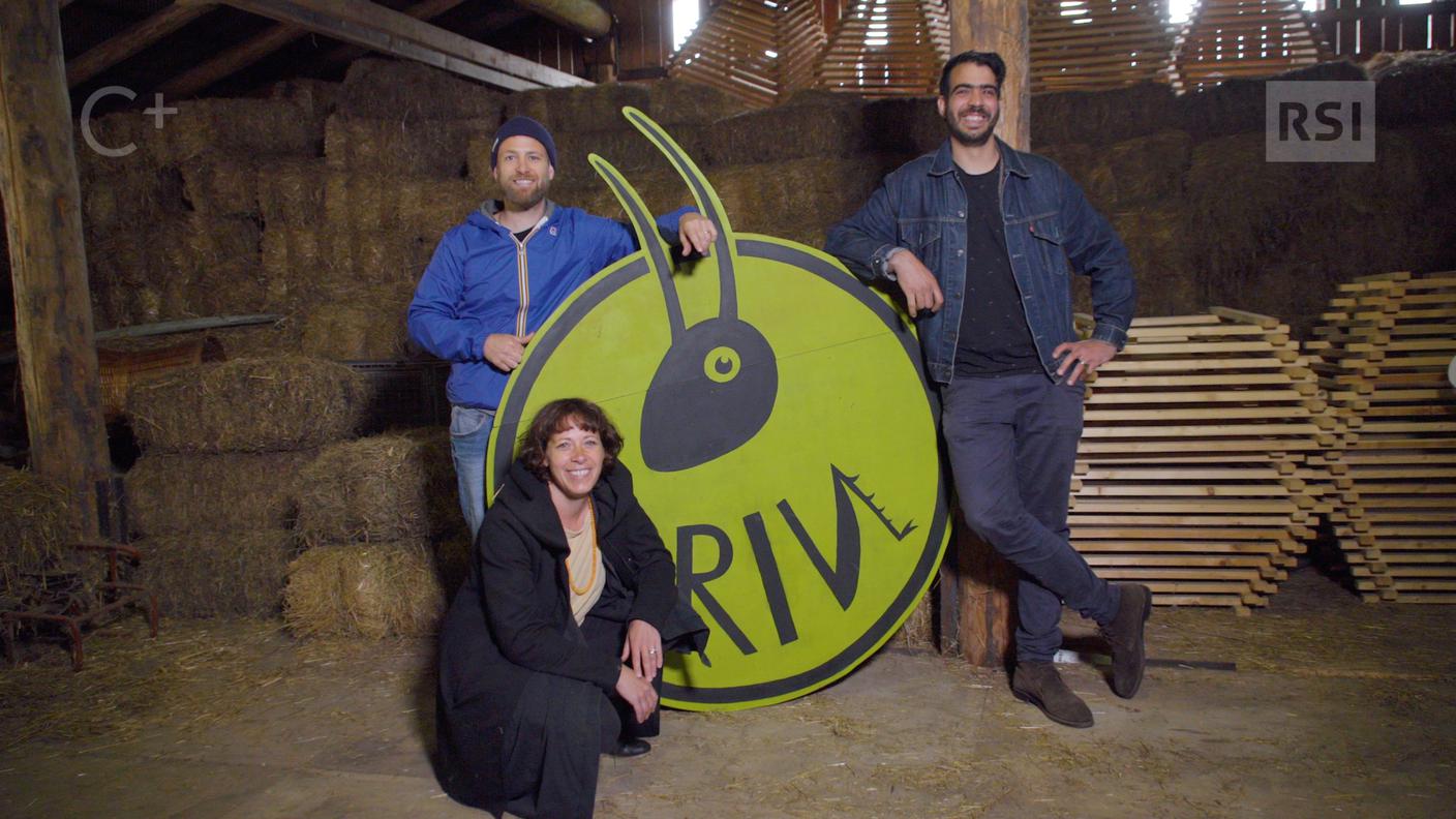 Organizzatori del Grin Festival 