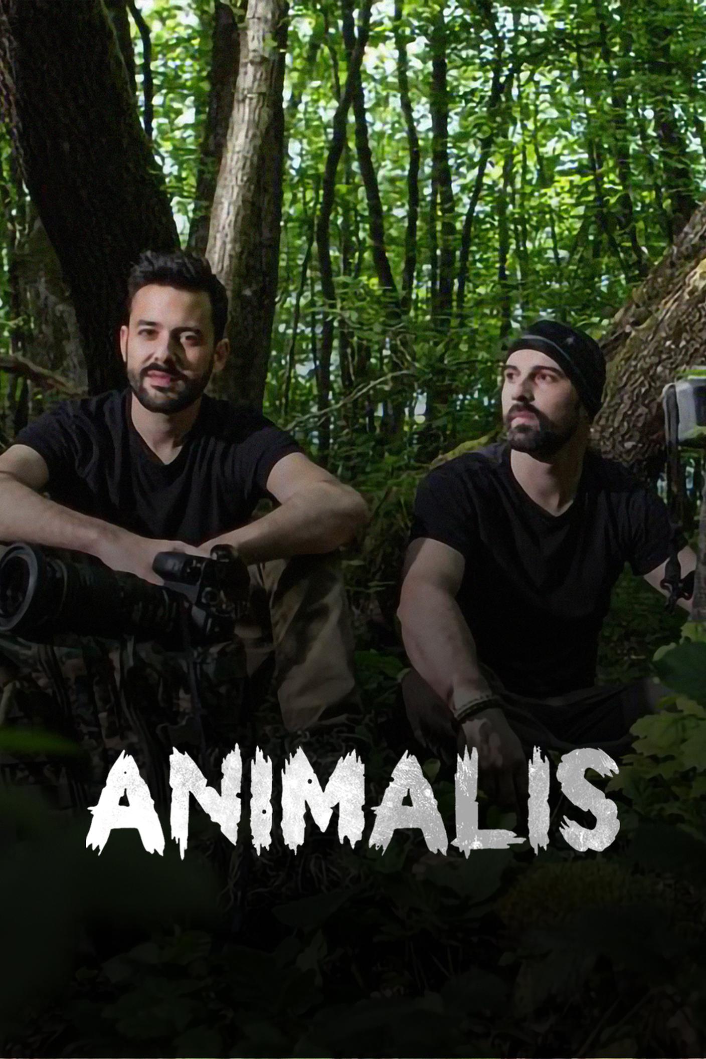 COVER_3_4-animalis