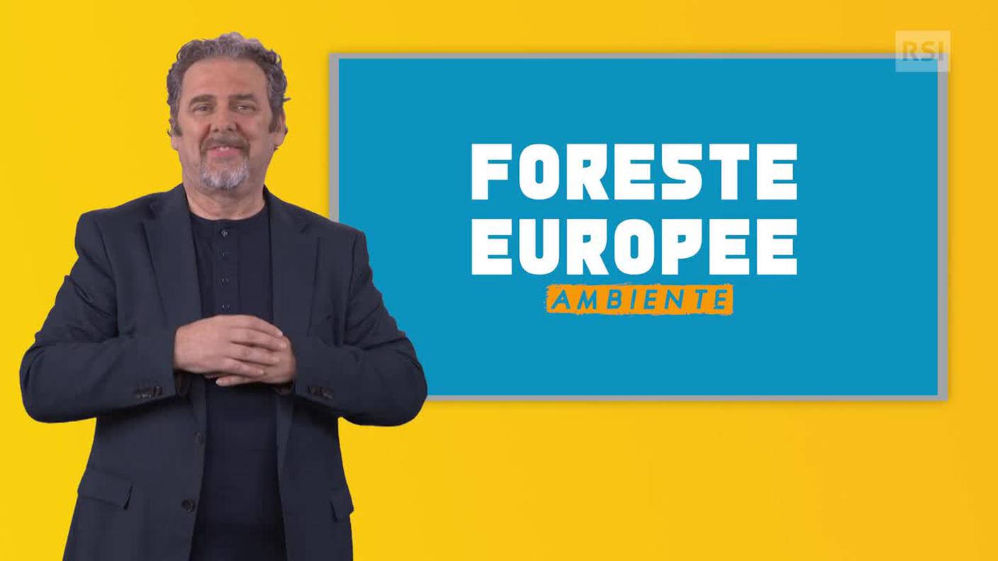 Daniele Chiri, interprete e traduttore lingua dei segni