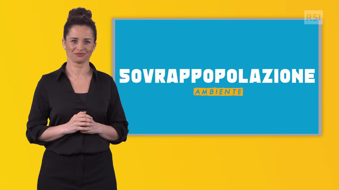 Gabriella Grioli, interprete e traduttrice lingua dei segni