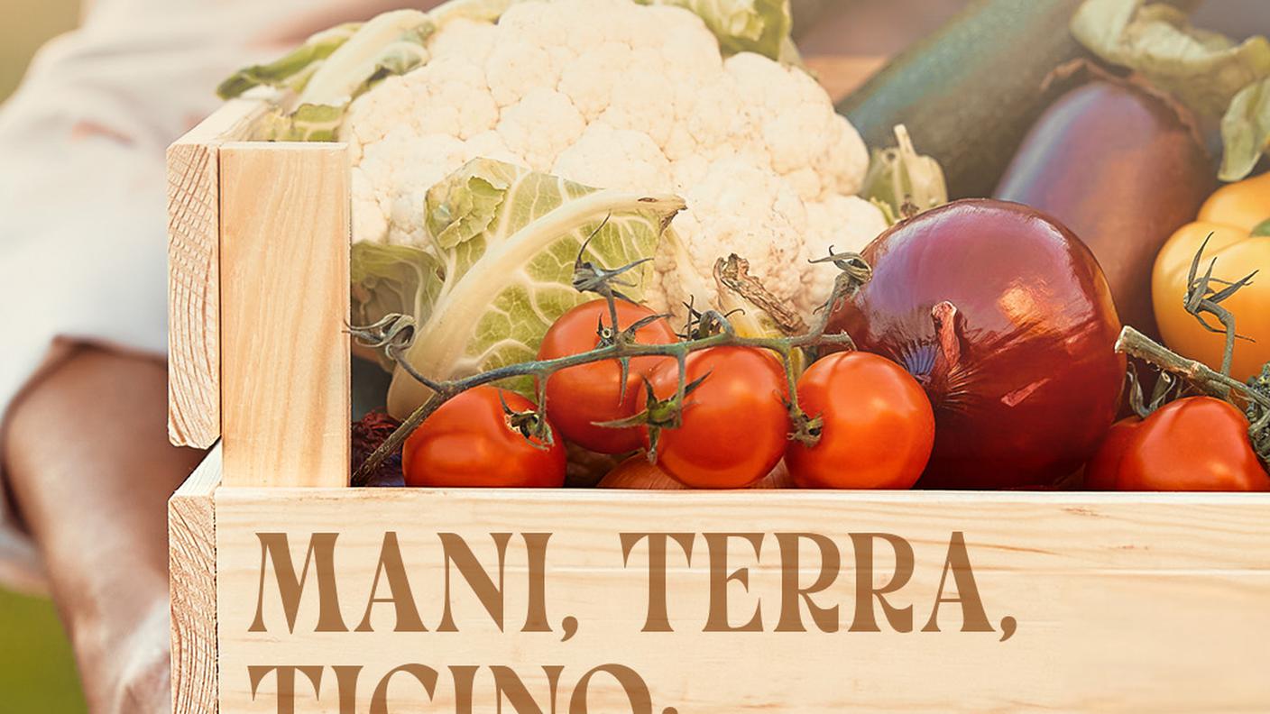 2:3 Mani, terra, Ticino: il buono di qui 