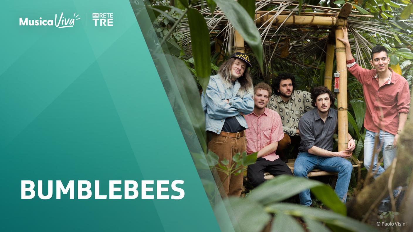 COVER Bumblebees