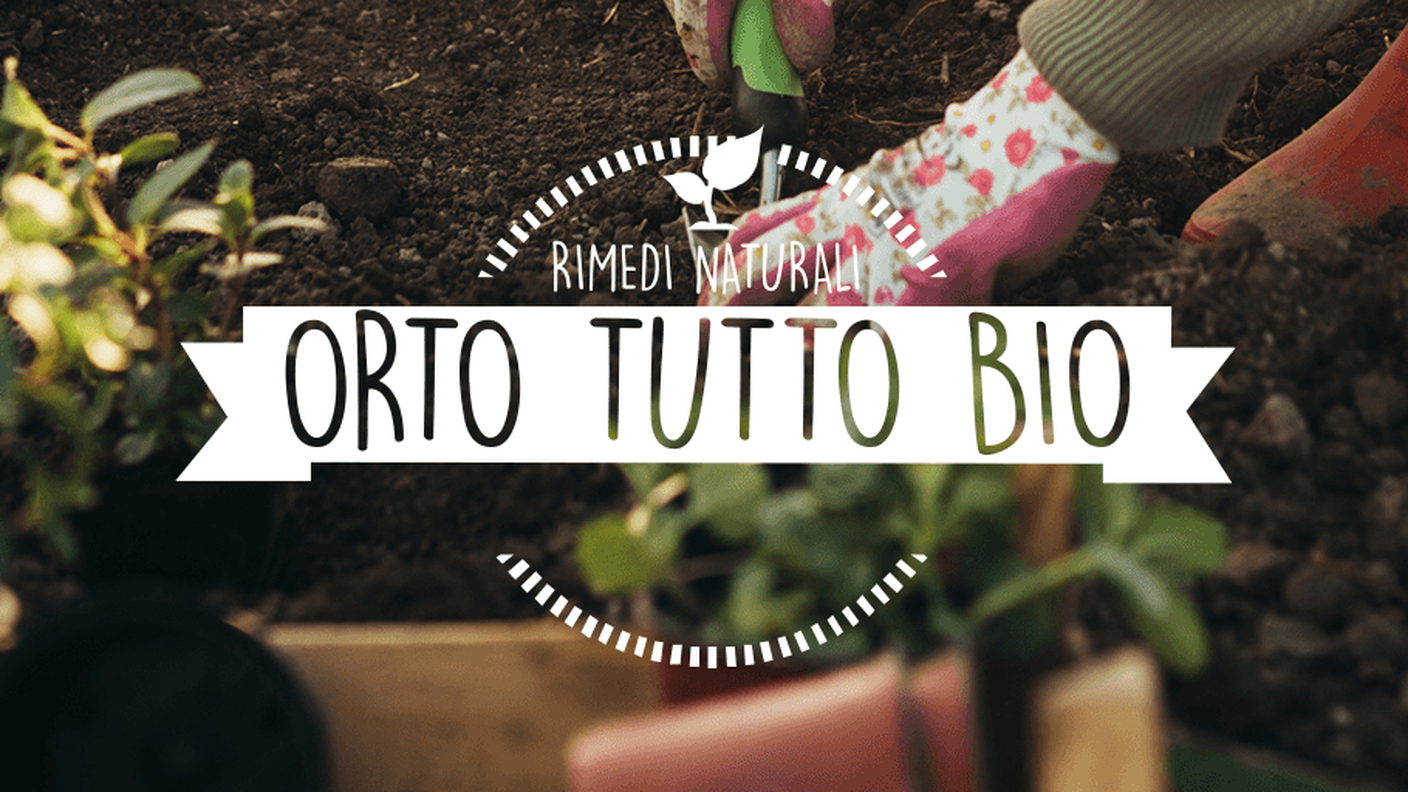 page_title-orto_tutto_bio.png