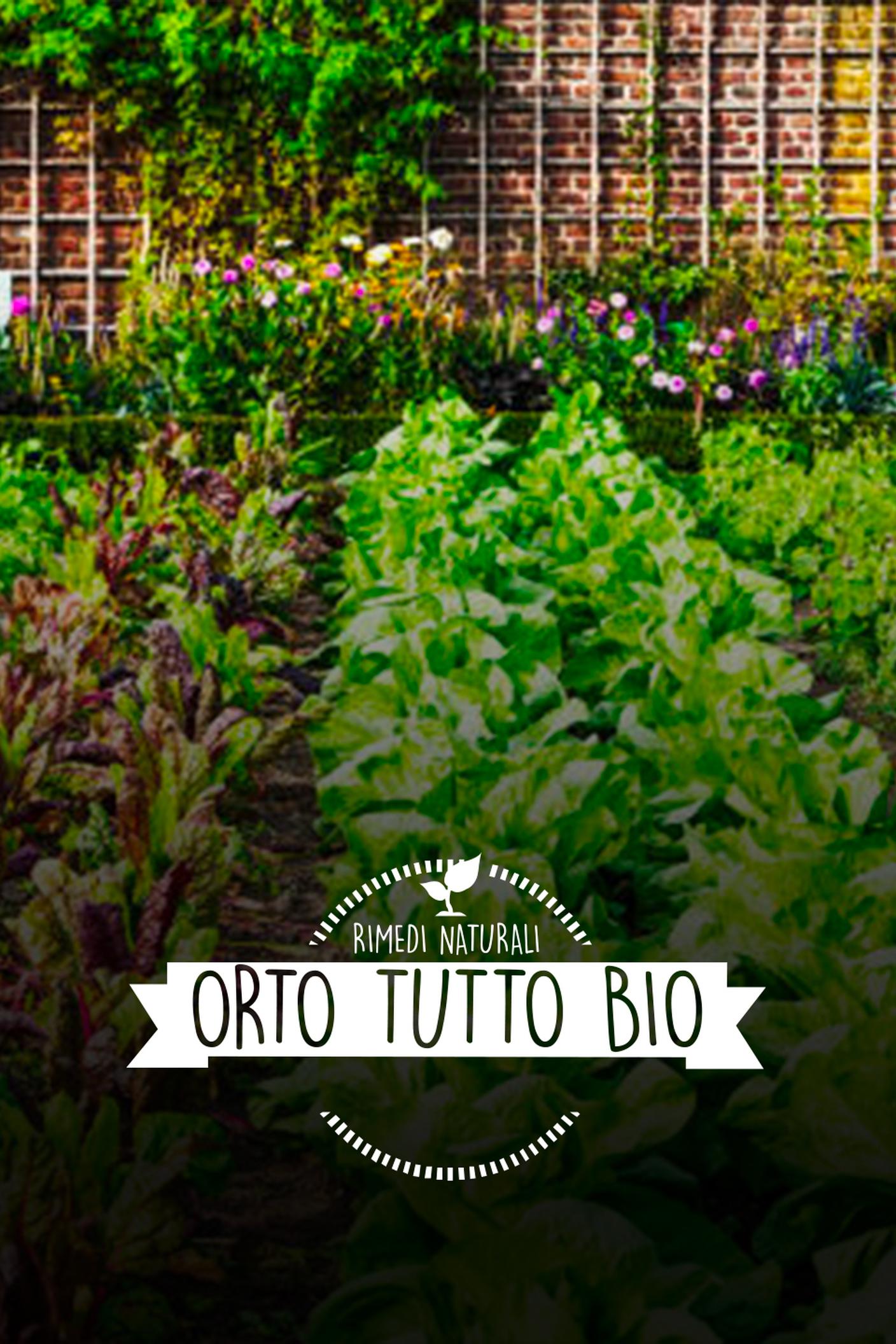 COVER_3_4-orto_tutto_bio
