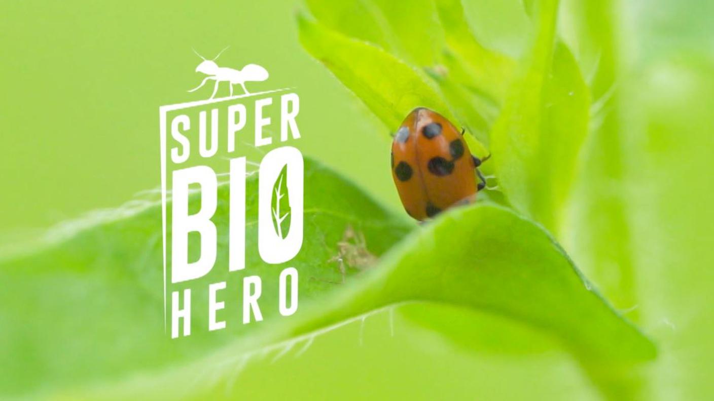 Coccinella - Super Bio Hero