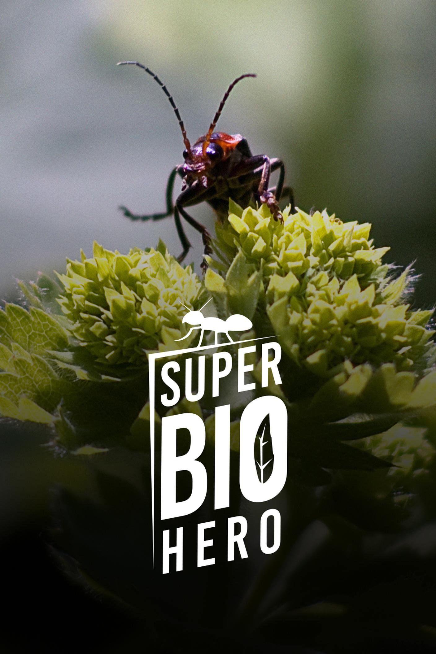 COVER_3_4-super_bio_hero