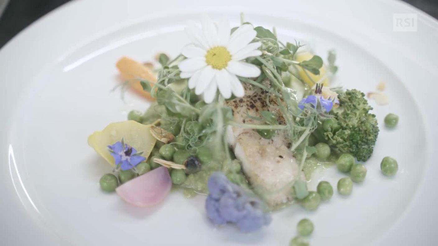 Filetto di lucioperca del Lago Maggiore su letto di piselli alla menta e mandorle - Locanda Locarnese - Chef Persyo Cadlolo