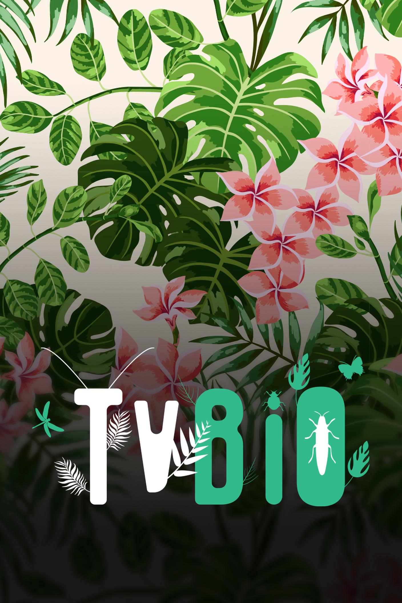 COVER_3_4- TV Bio
