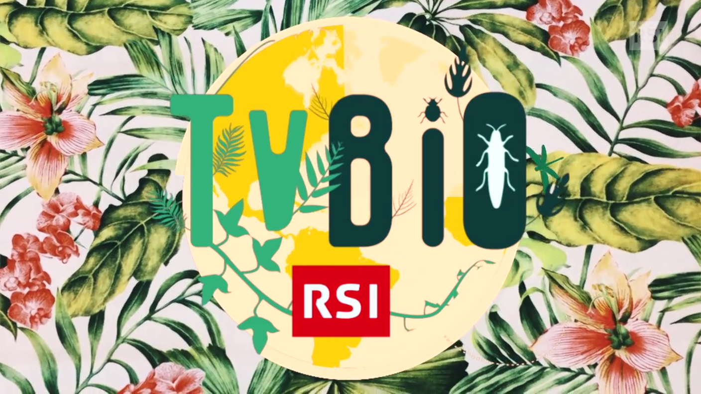 TVBio Chiasso