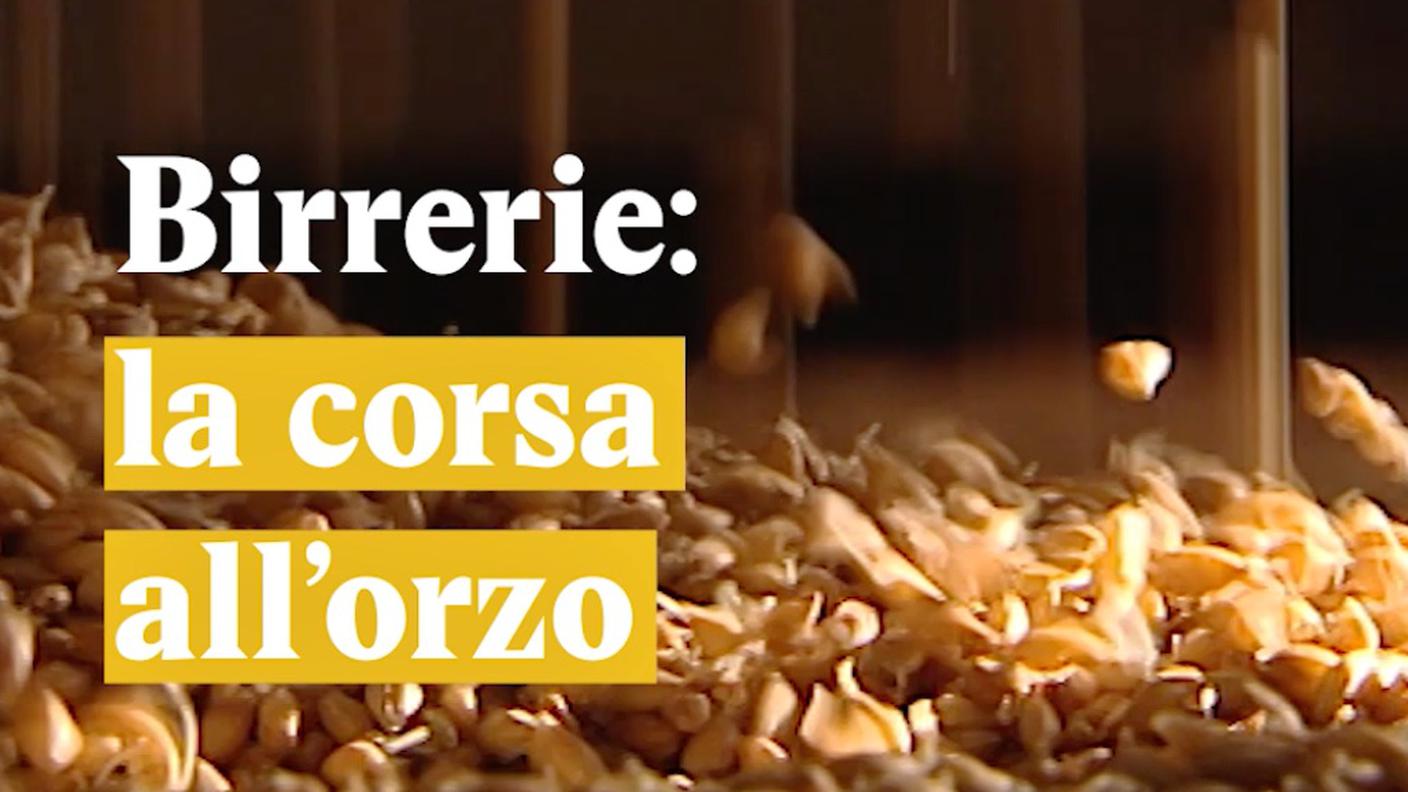 Corsa all'orzo