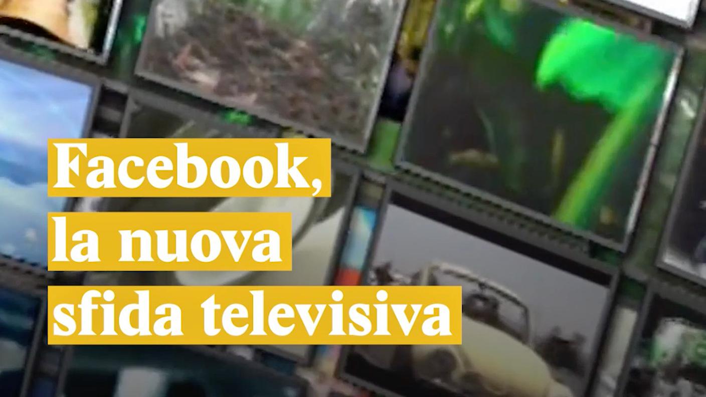 FB