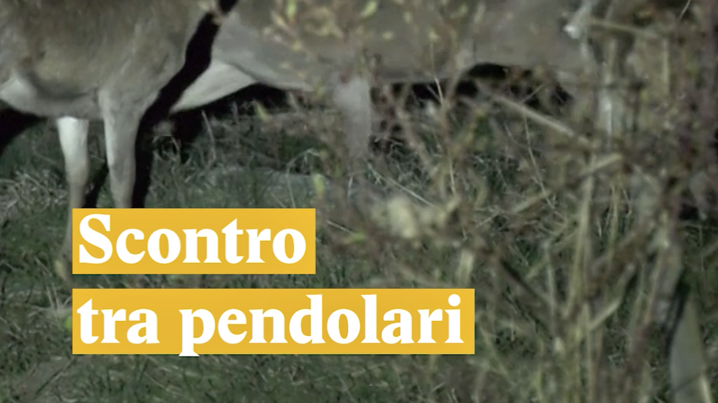 Scontro tra pendolari