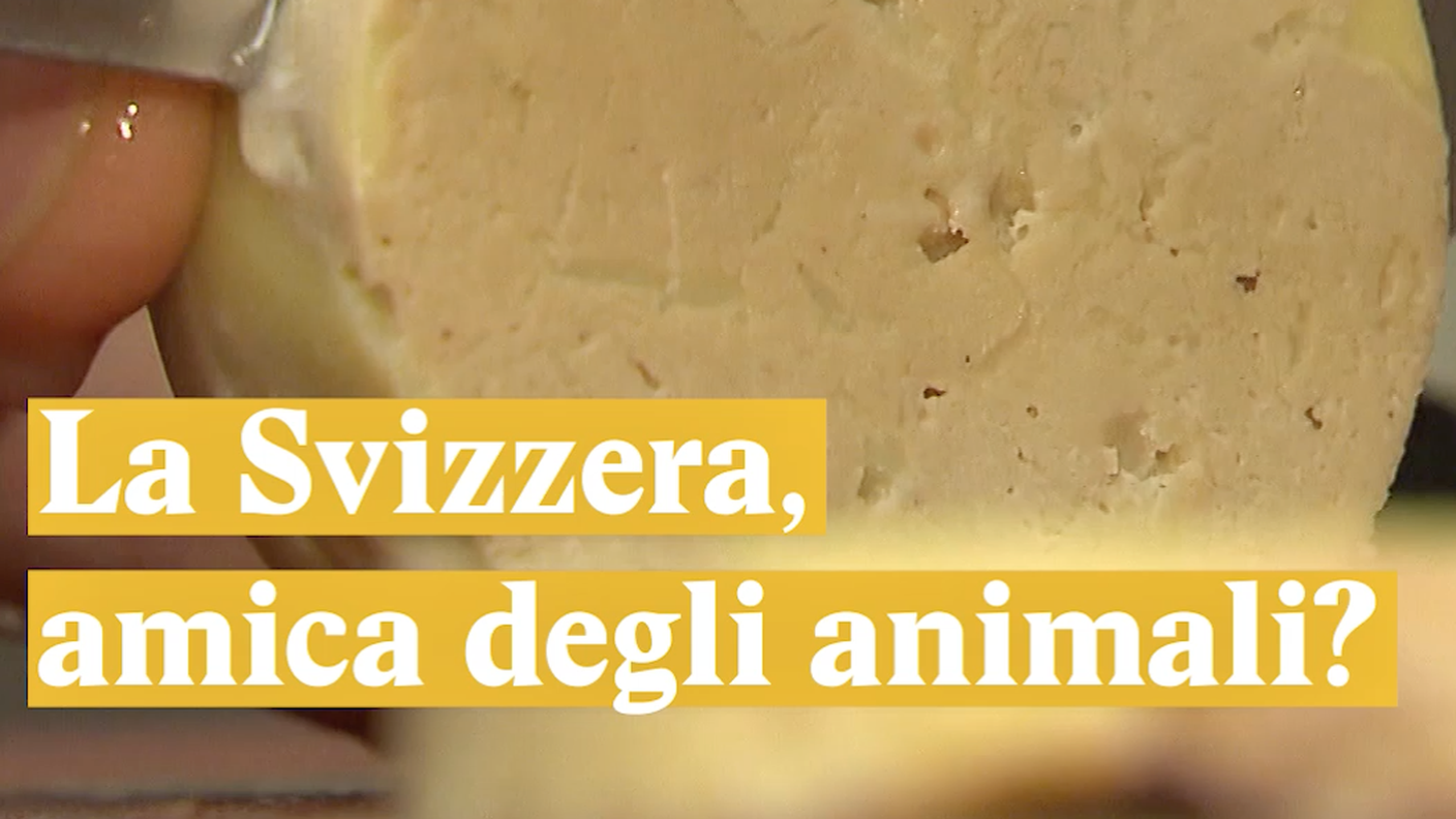 Animali
