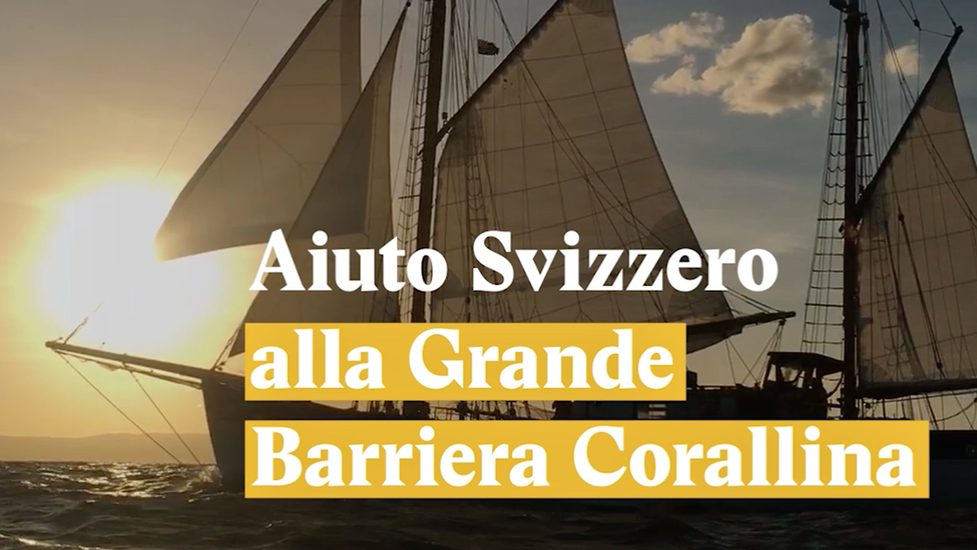 La Barriera Corallina rischia grosso