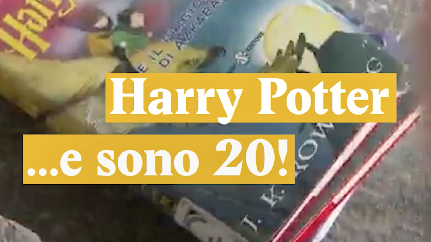 harry.png