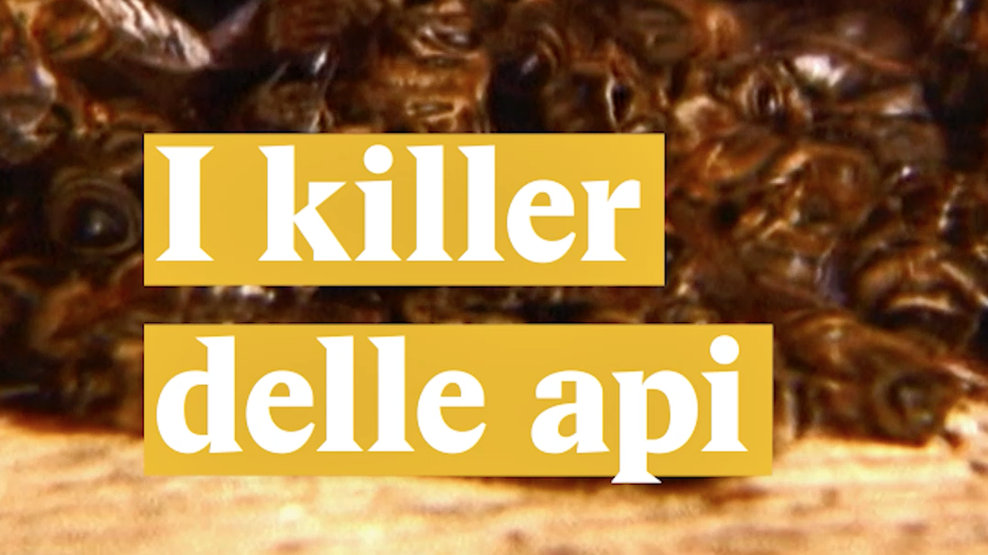 api.png