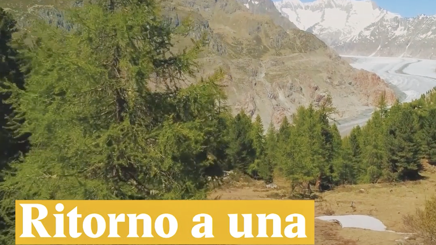 Ritorno a una Svizzera selvaggia?