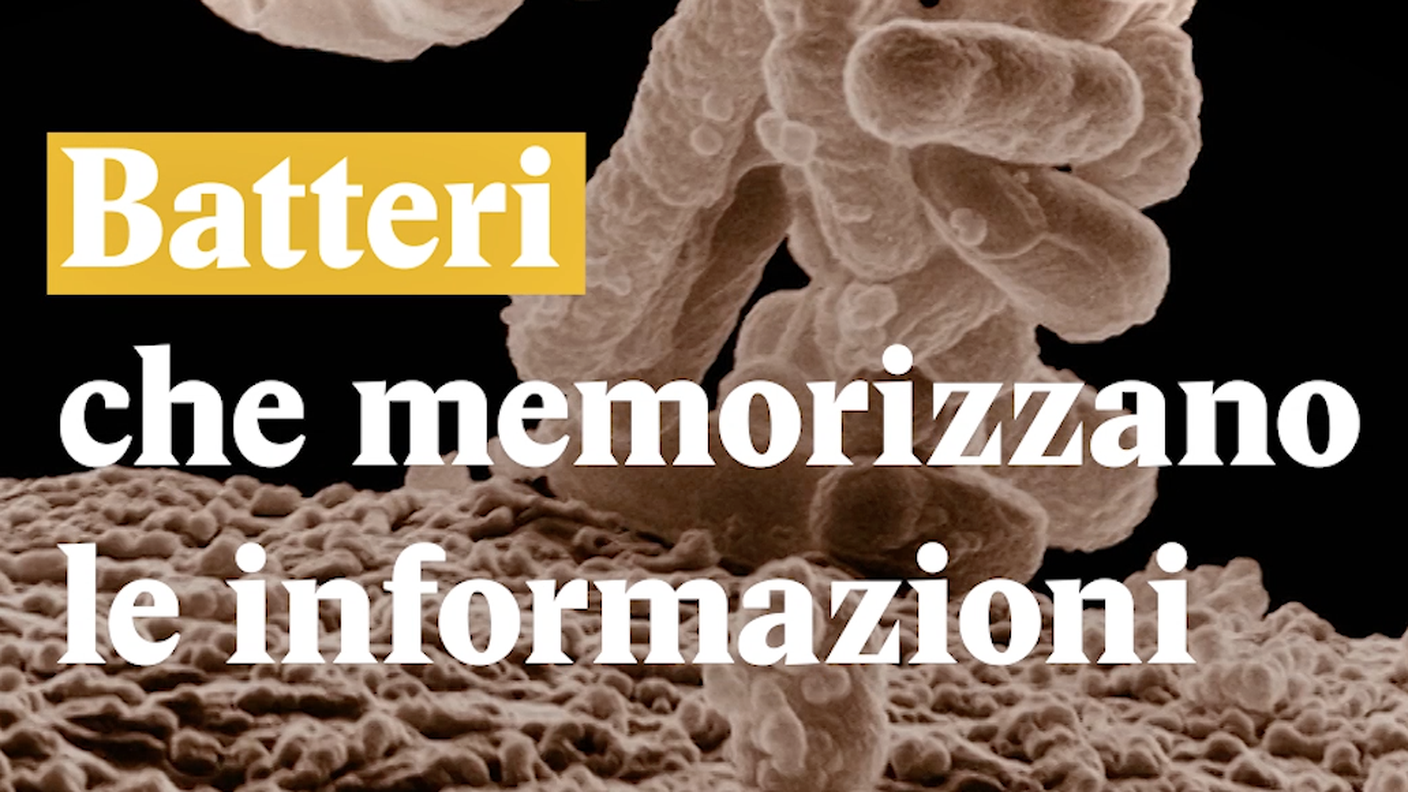 Batteri che memorizzano informazioni