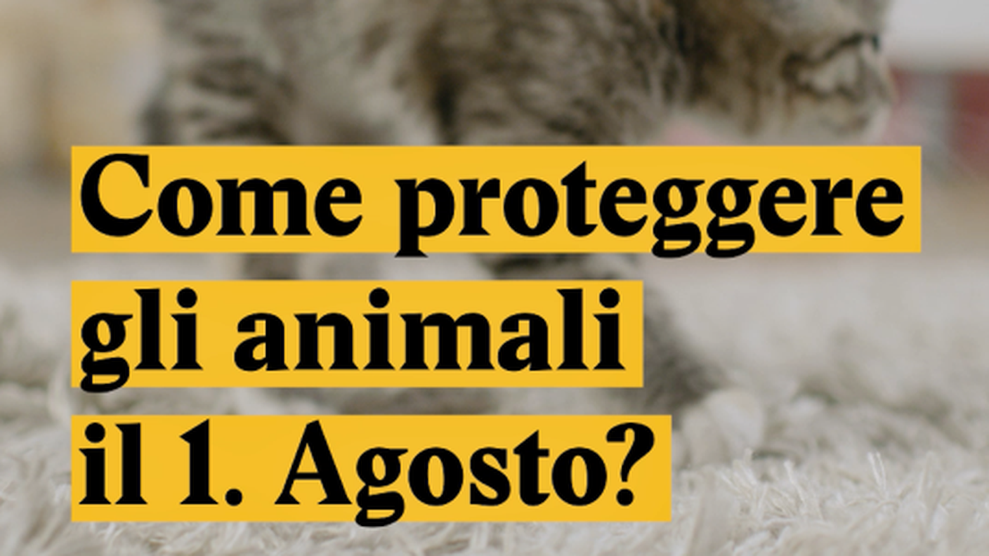 animali.png