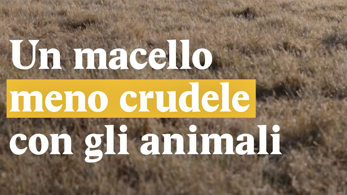Un macello meno crudele