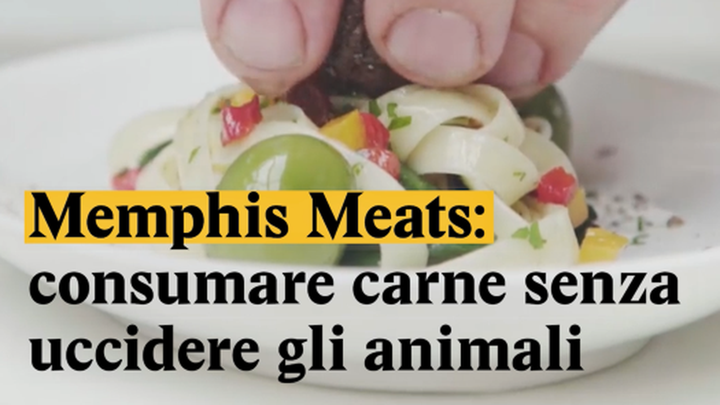 Memphis Meats, la carne dalle cellule