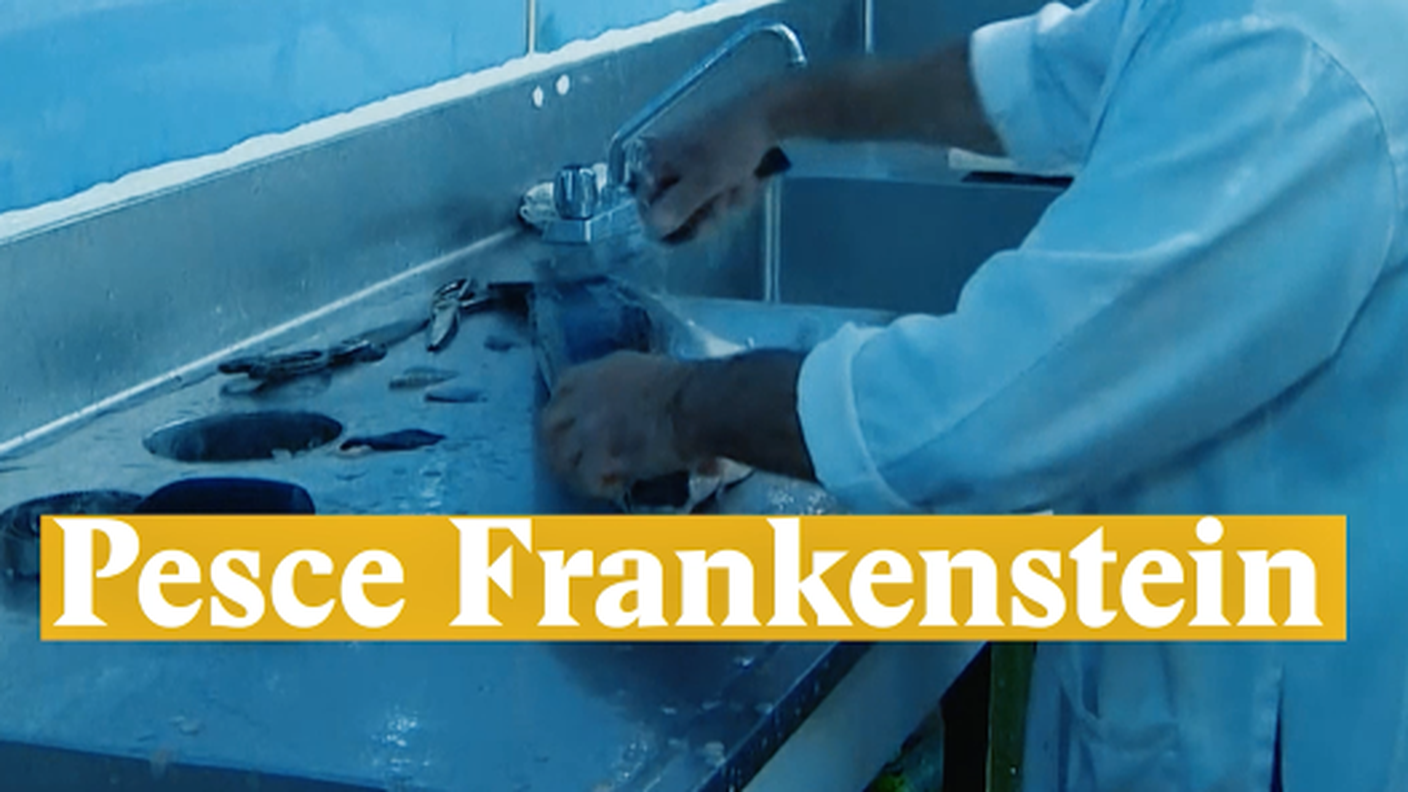 Pesce Frankenstein