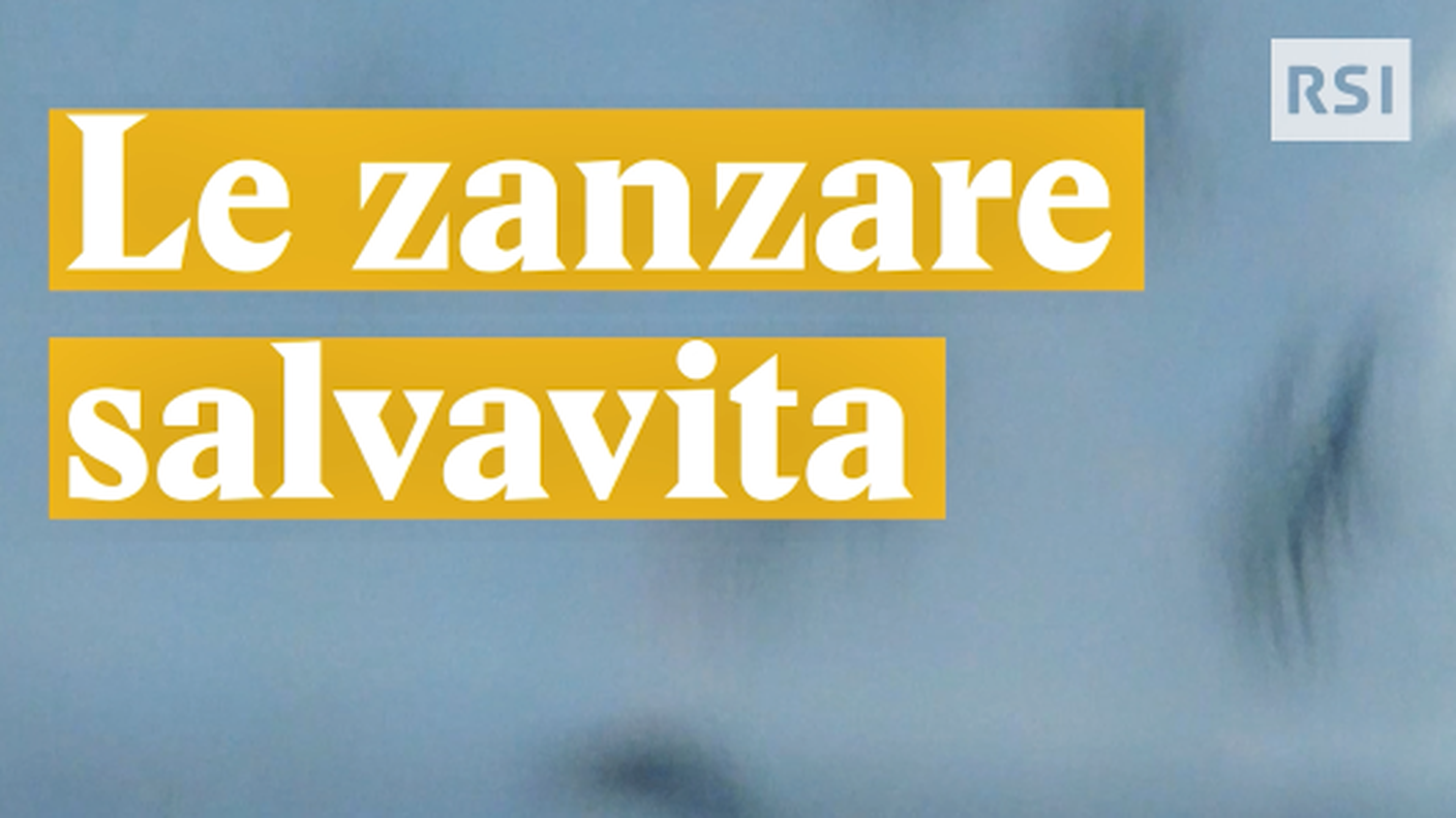 Zanzare salvavita