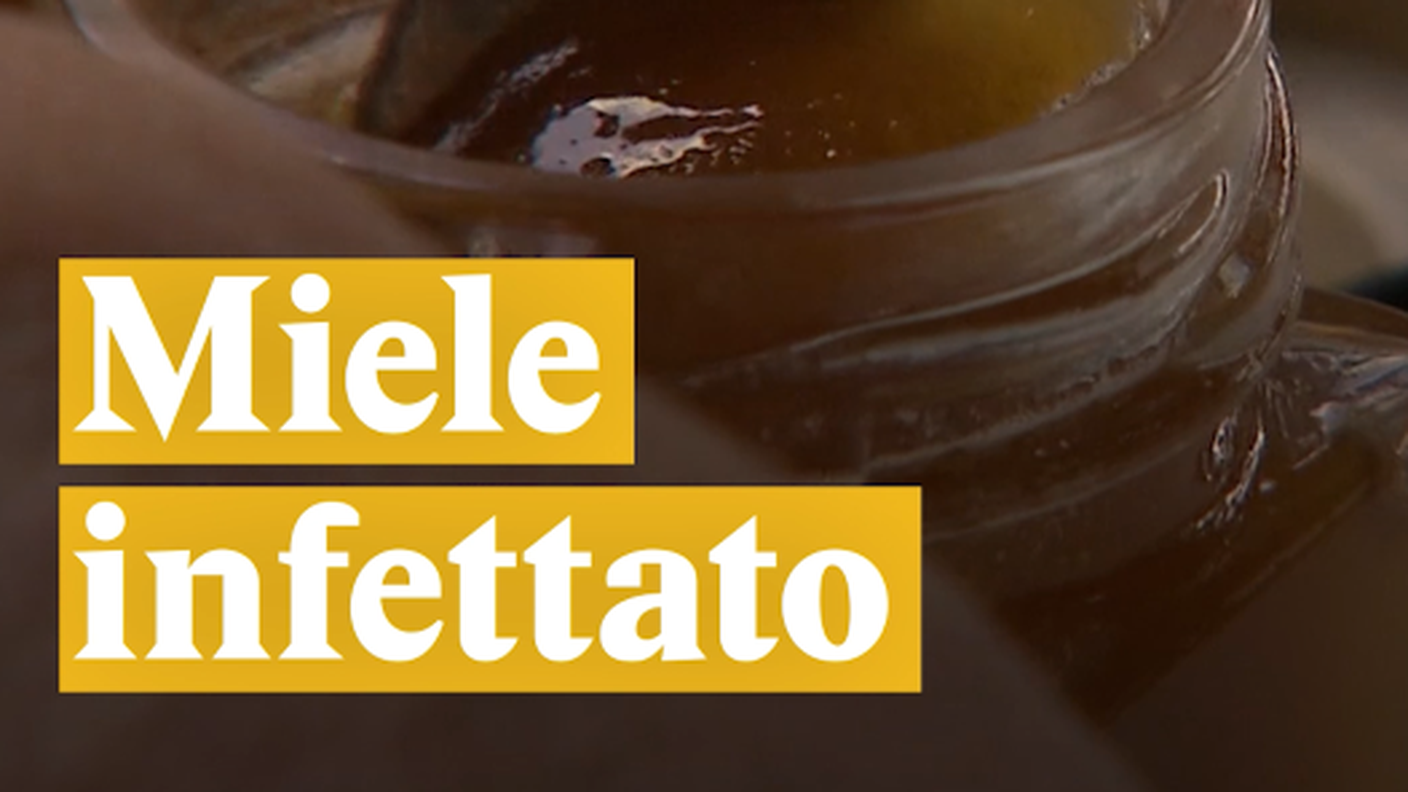 Miele infettato
