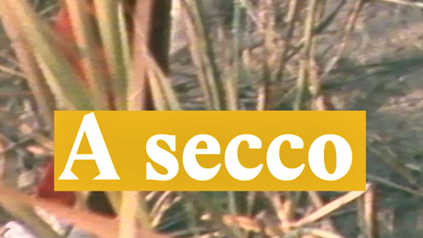 A secco