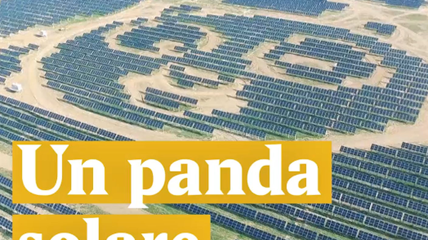 Panda solare