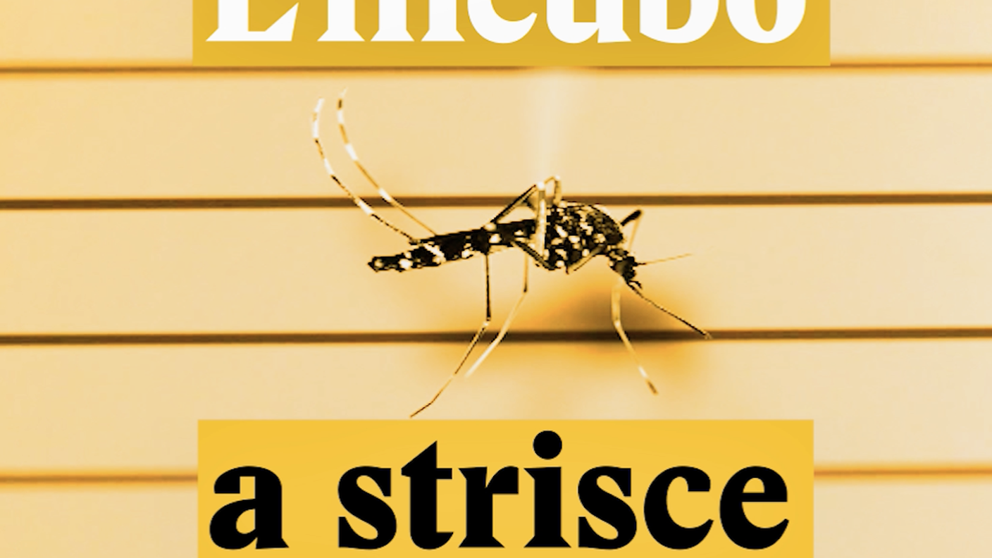 L'incubo a strisce