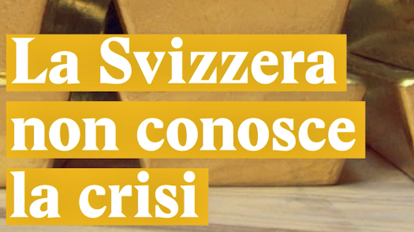 Formiche parlamentari