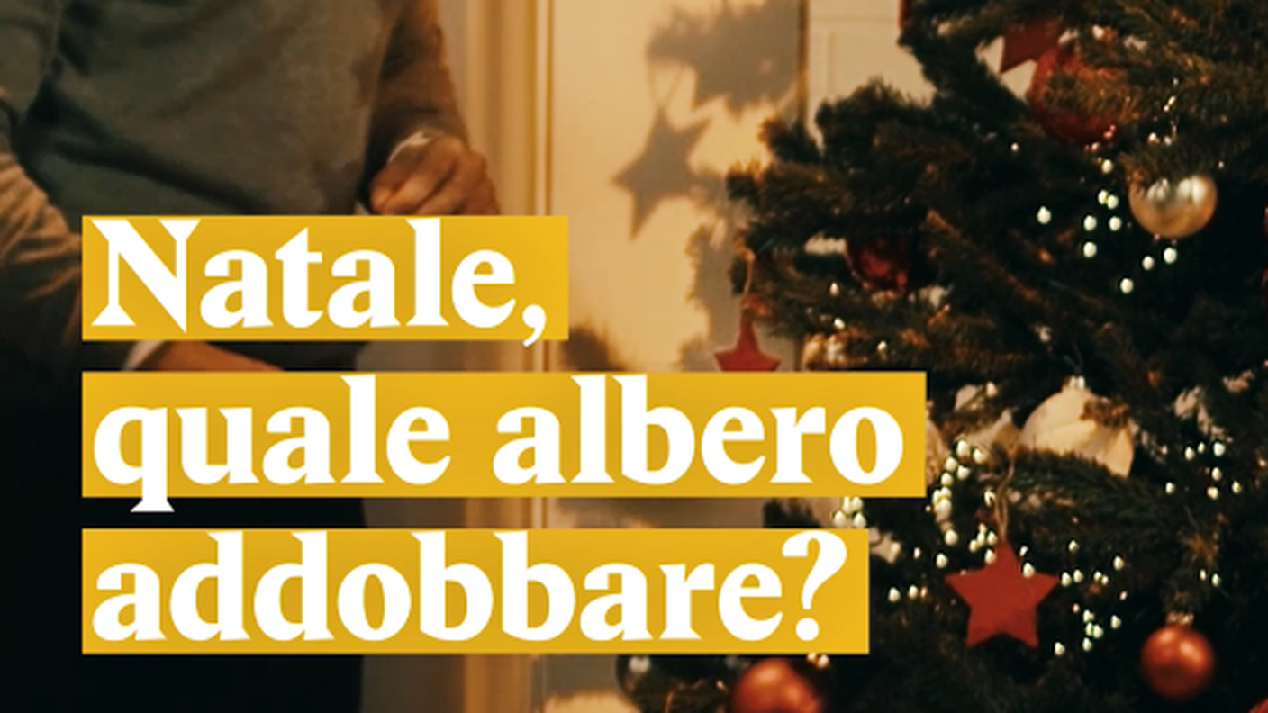 Quale alberi addobbare?