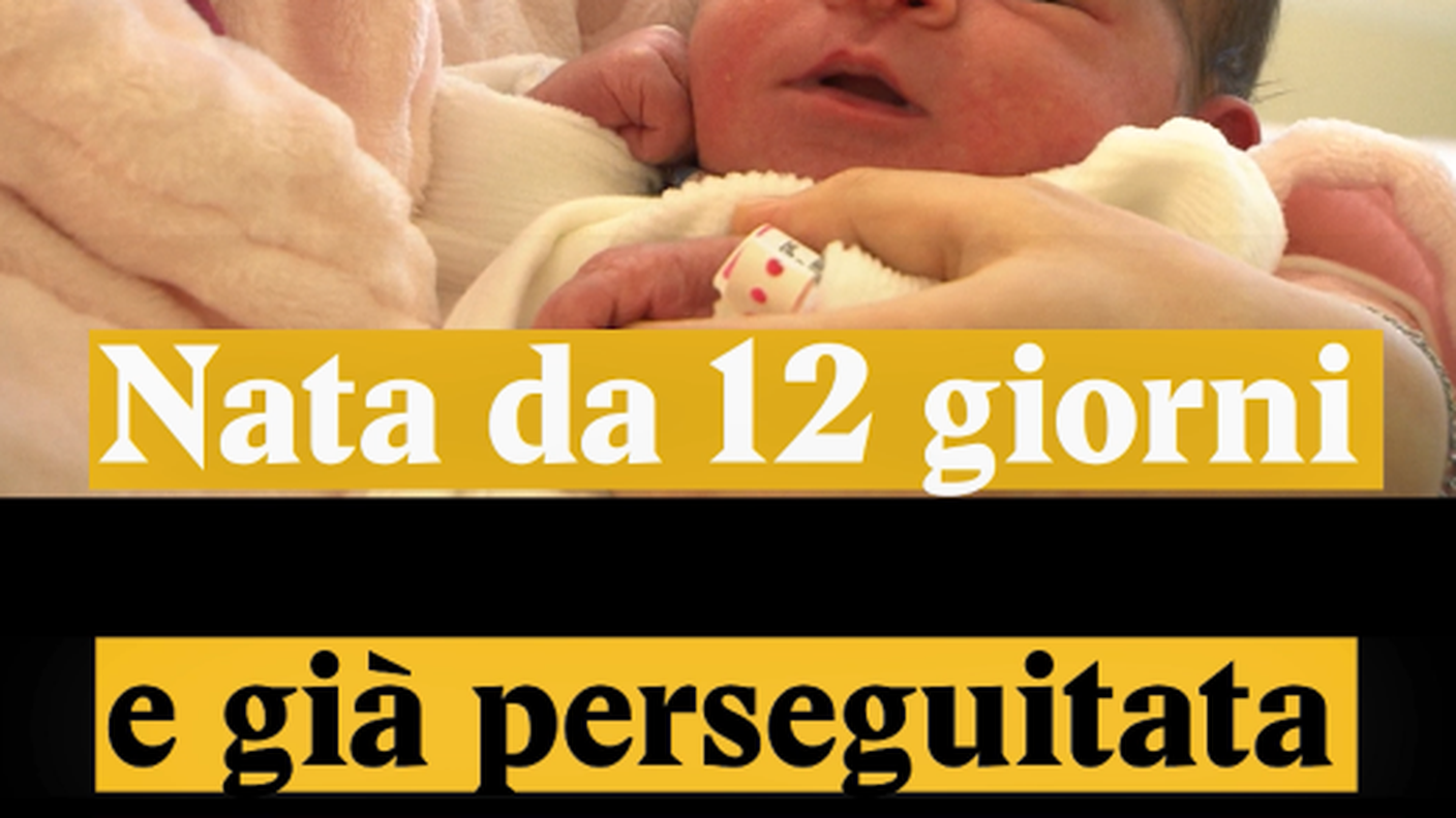 I social non risparmiano nemmeno Asel