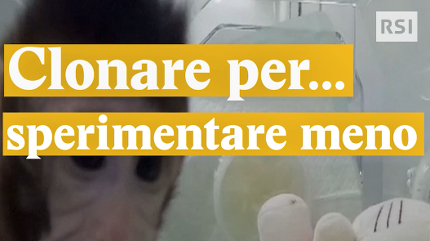 Schermata 2018-01-26 alle 16.34.55.png