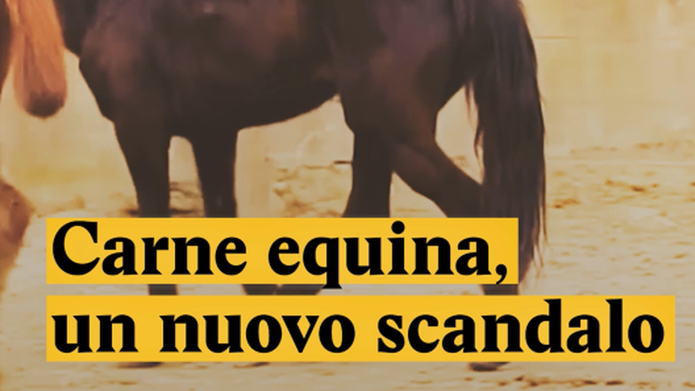 Schermata 2018-02-22 alle 15.53.24.png